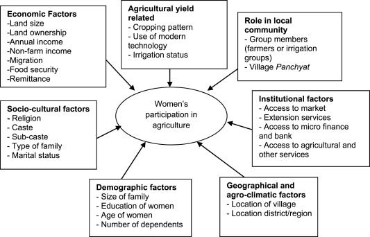 Factors_Affecting_Women's _Agricultural_Participation